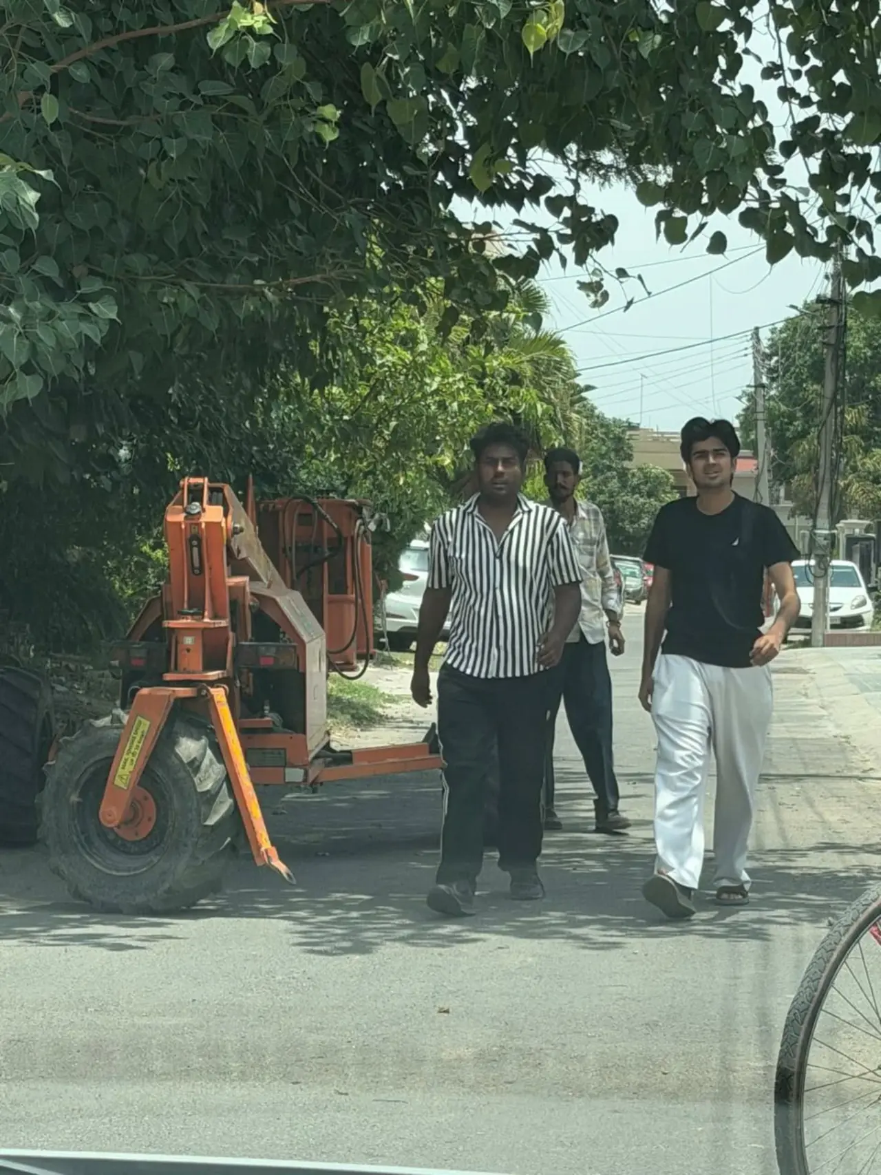 Councillor Parth Gupta: Tree Pruning Begins in Sector 17, Ward 6